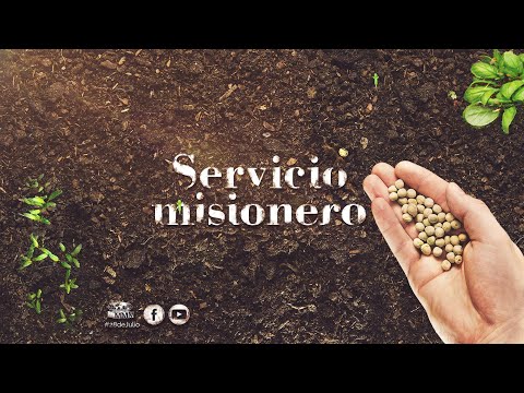 Servicio Misionero | #Armonía2024
