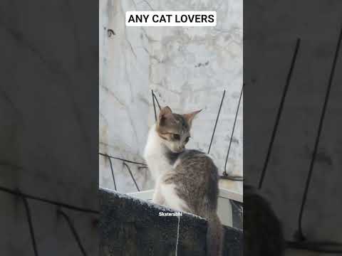 Hope you like it🥺😭😻#please_subscribe_my_channel#views_viral_video_subscribers_grow#viewskaisebadhaye