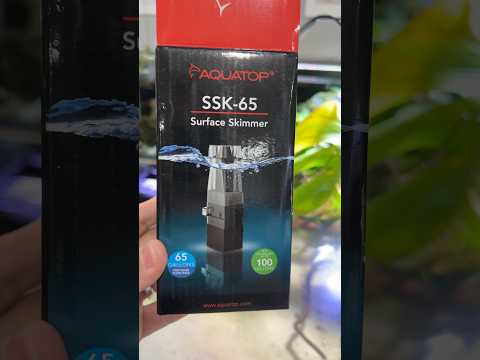 Crystal clear surface! Full video in channel #aqua 