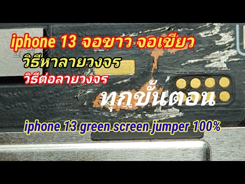 iphone13จอเขียวจอขาววิธีการ