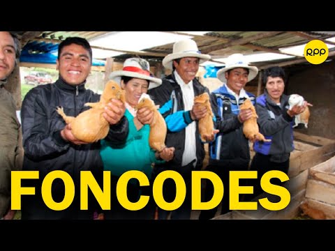 Acciones del Foncodes en las comunidades del Perú, más de un millón de beneficiados