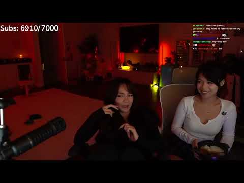 Cinna & Wasabiicat EXPOSE Their Biggest pet peeve 😳😂