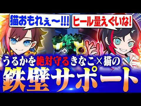 【OW】うるかを絶対守るきなこ×猫の鉄壁サポートがアツすぎるww【うるか/Cpt/じゃすぱー】