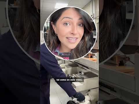 ¿Trabajadores entrenan a la IA que podría sustituirlos?