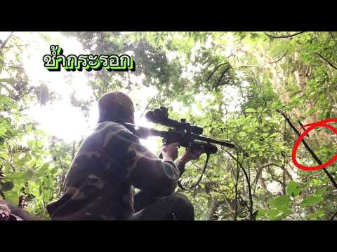 CD Hunter กระรอก!Squirrelhunting