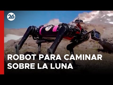 EEUU | Los científicos entrenan a un robot para caminar sobre La Luna