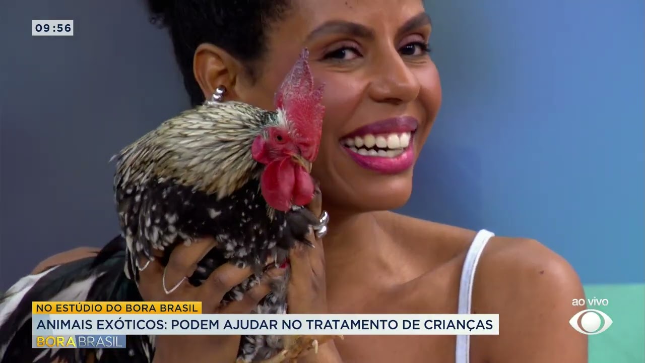 Animais exóticos podem ajudar em tratamento infantil
