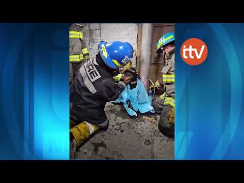 Canino es rescatado durante incendio estructural en el bulevar Venezuela.