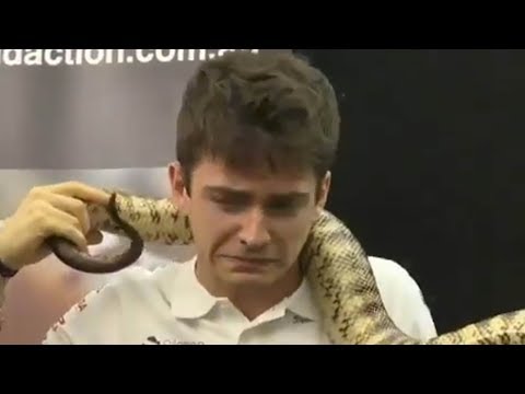 YouTube video thumbnail