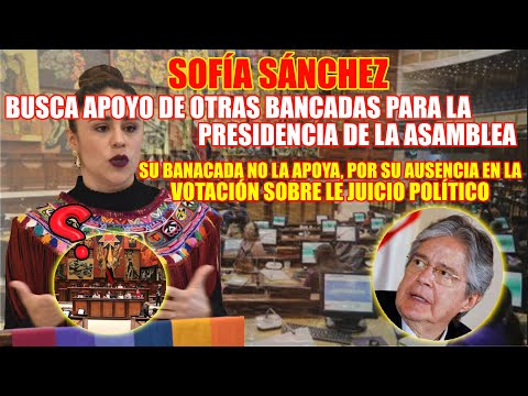 Perdió apoyo Sofia Sánchez - la bancada le ha dado la espalda por ausencia en juicio político