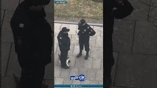 ألطف فيديو ستشاهده اليوم