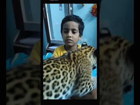 Chirutha.....ARTIFICIAL intelligence