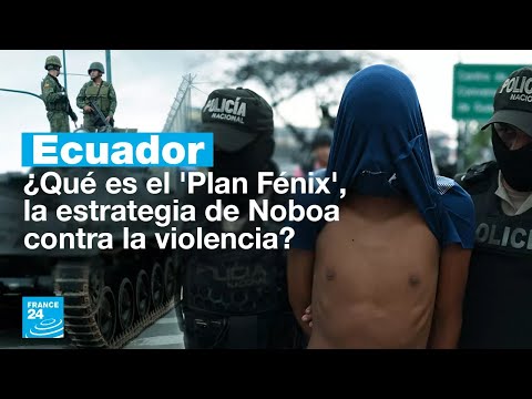 ¿Qué es el 'Plan Fenix' con el que Daniel Noboa promete acabar la violencia en Ecuador?