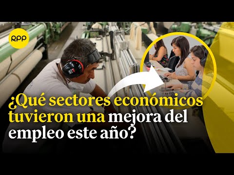 ¿Cuál es la situación del empleo en el Perú, según nuevos reportes en el 2024? | Economía peruana