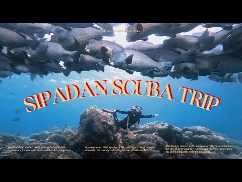 SIPADANScubaTripดำน้ำสิปาดั