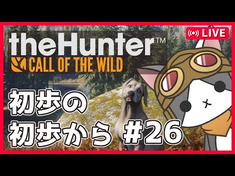 thumbnail_u54rCwszloM