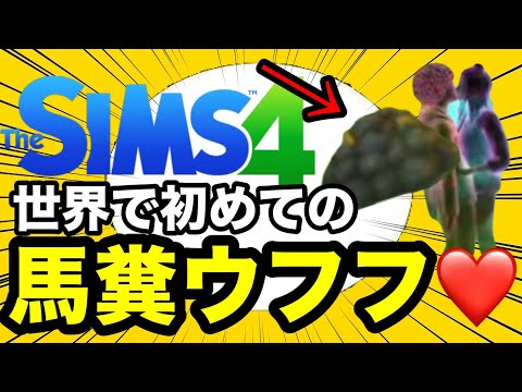 【シムズ4】驚愕のう〇ちウフフが出来る！このDLCぶっ飛びすぎだろww【sims4】