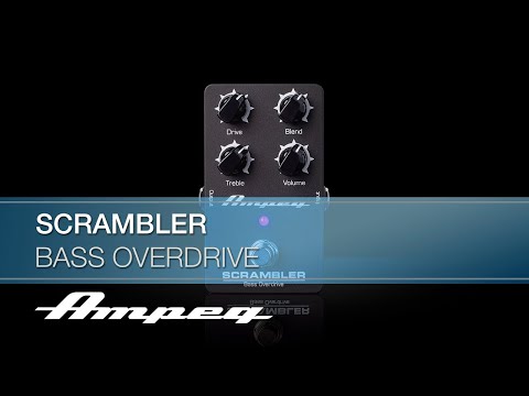 Ampeg | Scrambler Bass Overdrive pedal | Demo