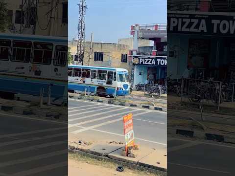 हरियाणा रोडवेज़ के शिकारी ड्राइवर #haryanaroadways #driver #trending #shorts