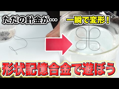 カタチを覚える不思議な金属【形状記憶合金】って何?