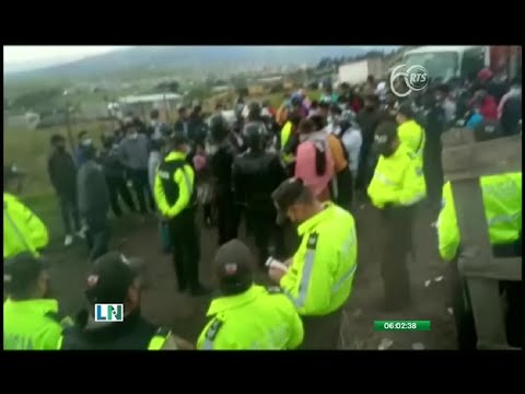 Una corrida de toros clandestina fue suspendida en Quito