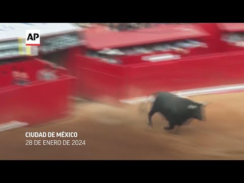 Ciudad de México: Se reanudan las corridas de toros
