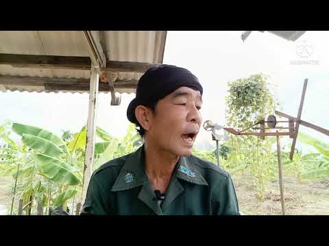 เรื่อง..วิญญาณผีโควิด เรื่อง..วิญญาณผีโควิด