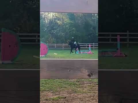 Jumpppp #equestrianriding #smalljump #horse #horseenthusiast #equestrian