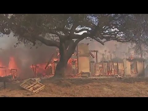 Mental health legislation proposed for wildfire victims