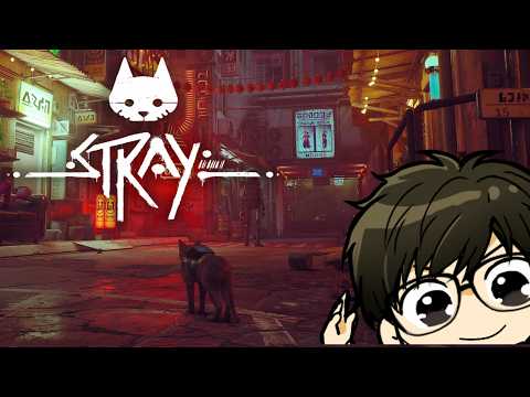 【Stray】 今日からサイバー世界で野良猫やります!?!? 猫生活#2