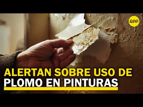 Grupo GEA: “Perú debe regular el uso del plomo en pinturas”