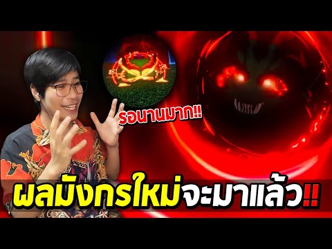 BloxFruitsในที่สุดผลมังกรใหม