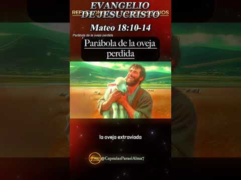 EVANGELIO DE HOY   Domingo 18 de Agosto 2024 ? Reflexio?n, Mensaje y Bendicio?n del Di?a