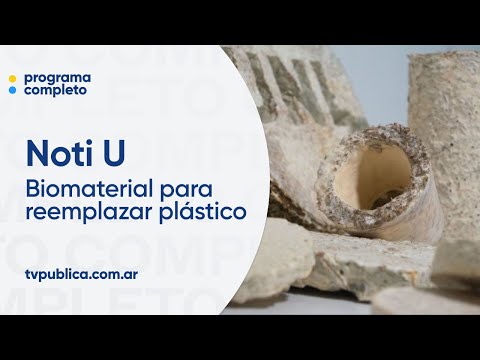 Diseño de biomateriales para reemplazar plástico - Curso de posgrado en ADN Ambiental - Noti U