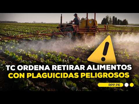TC ordena retirar alimentos con plaguicidas peligrosos: senador Jaime Delgado destaca fallo
