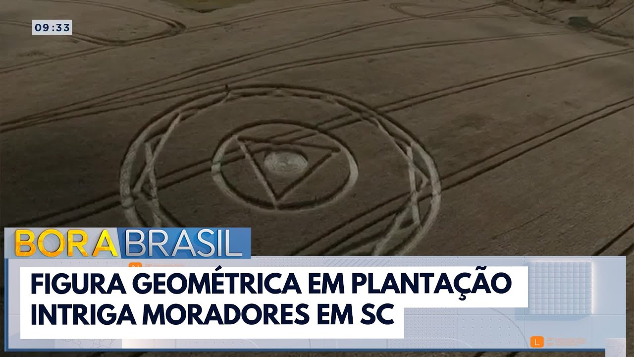 Figura geométrica em plantação intriga moradores em SC