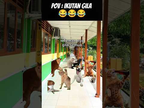 Pov : Ikutan Gila 🤣 #meme #cat #kucing #animation #fypシ