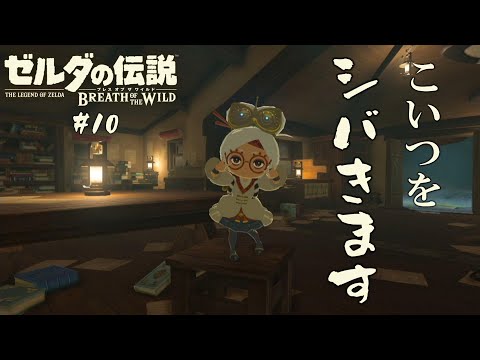 チェキチェキうっせーんだよ！【ゼルダの伝説 ブレス オブ ザ ワイルド】#10