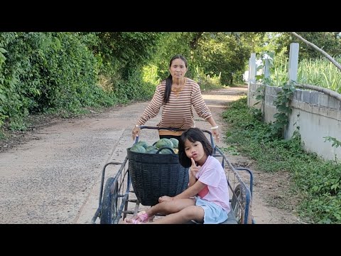 สวัสดียามเย็นไปหาปู่ชุมพล สวัสดียามเย็นไปหาปู่ชุมพล