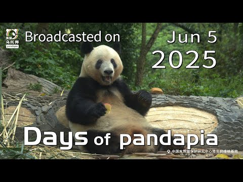 20250605 Broadcast Top Highlights 02