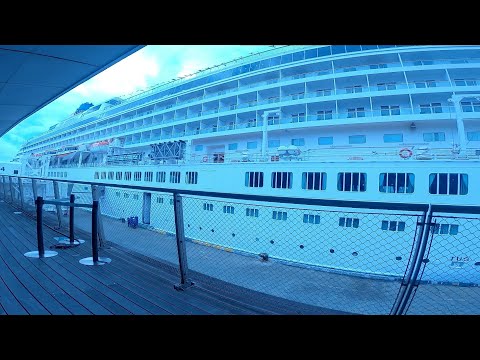 飛鳥クルージング駿河湾