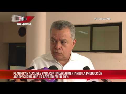 Nicaragua planifica acciones para potenciar la producción nacional