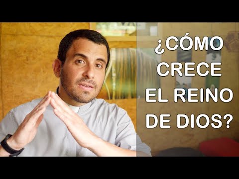 ¿Cómo crece el Reino de Dios? - Homilía del domingo 11b del tiempo ordinario