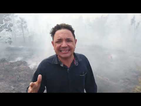 Holguín: Medios aéreos para combatir incendio forestal en Pinares de Mayarí