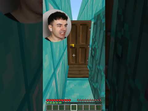 КУДА ТЫ БЕЖИШЬ ХОМЯК? #майнкрафт #memes