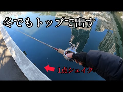 釣りにーとの最新動画 Youtubeランキング