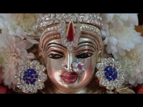 🔴 live channel checking promotions freelGet 10+ Subscribe Free | Live Channel Checking l livestream