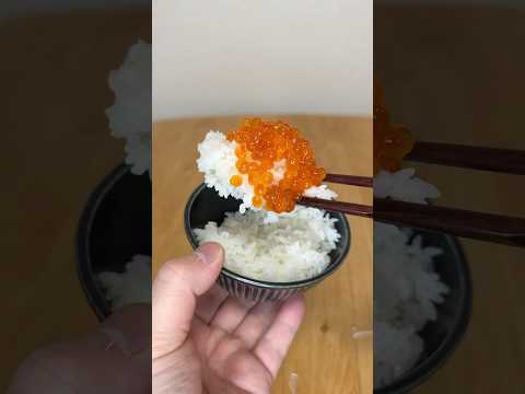 日本美味いもんありすぎやろ