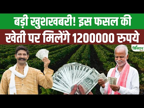 Mushroom farming: खेती करने पर सरकार देगी ₹12 लाख, तुरंत उठाएं फायदा | Bihar Farmers| Kisan India