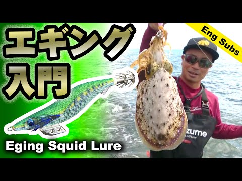 エギング入門 | How to Catch Squid with Eging Lure